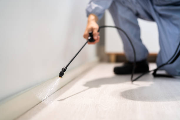 Licensed Pest Control service in Anne Arundel County County, MD - Nex Pest Control