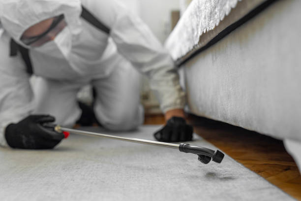 Professional Pest Control technician working in Anne Arundel County County, MD